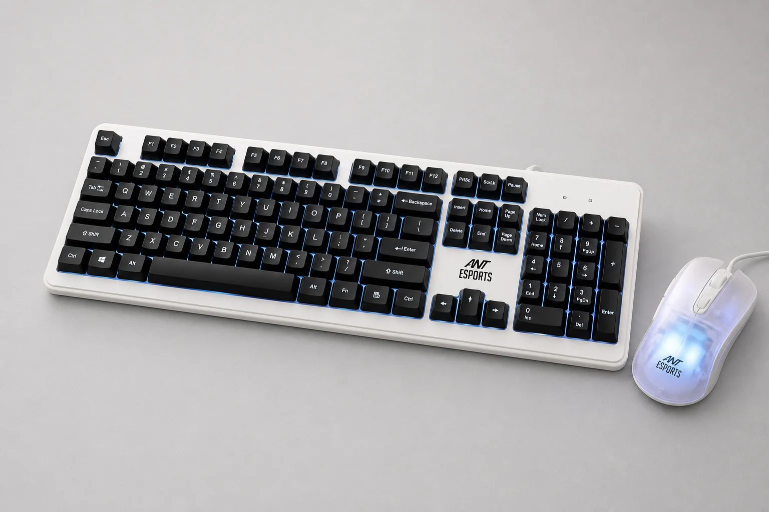Otto combo tastiera e mouse da gaming su una superficie in cemento che mostrano vari design e colori