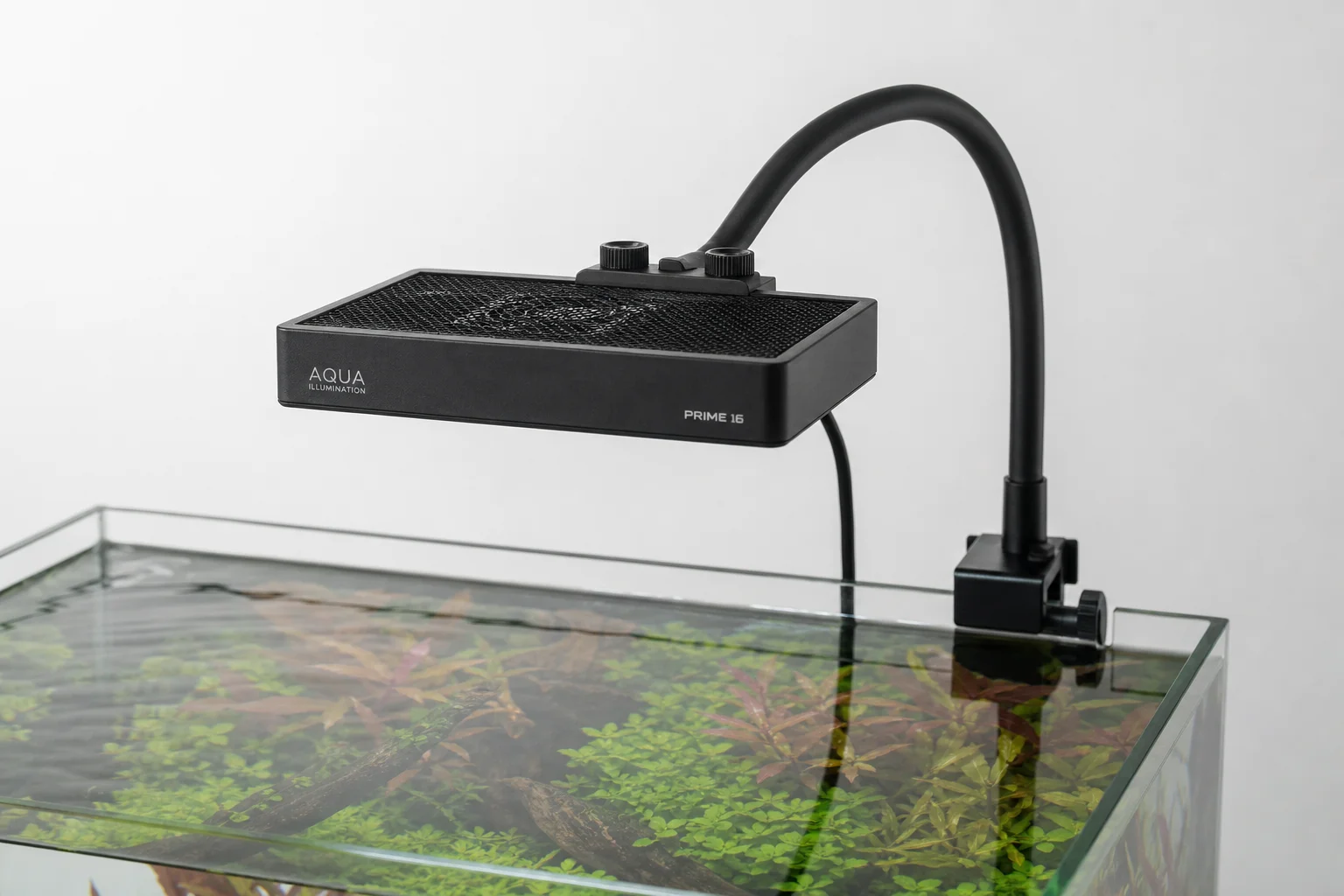 Aqua Illumination Prime 16 Freshwater Leuchte montiert an einem Schwanenhals-Halter über einem Aquarium