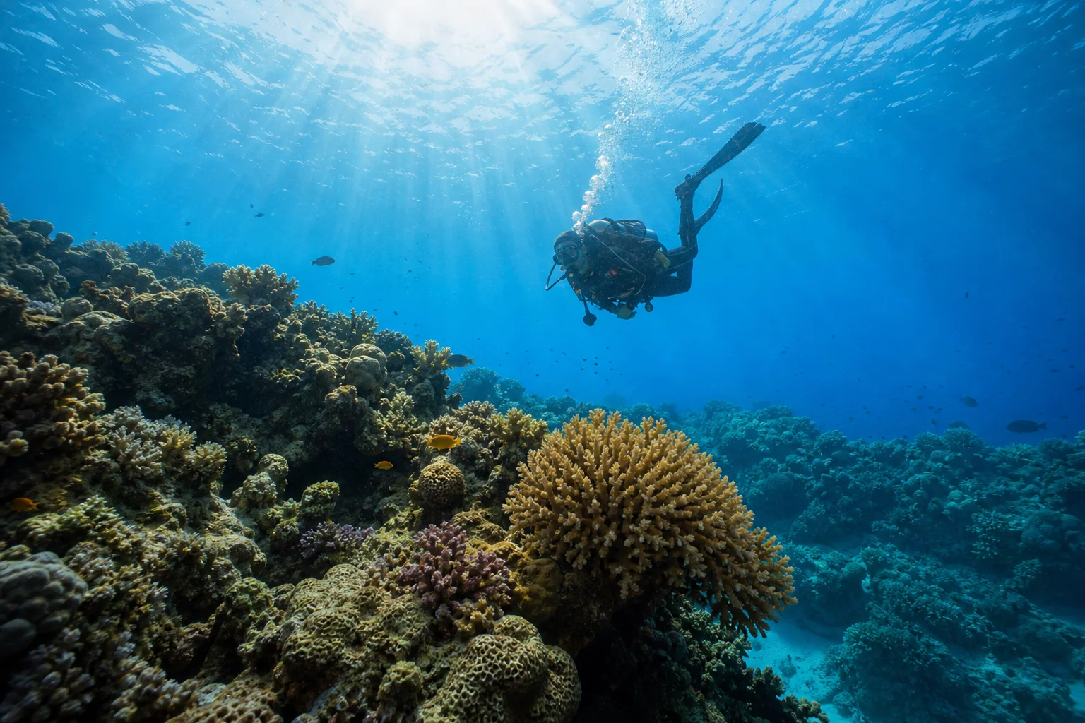 Scuba diver descending toward a coral reef in clear tropical water
