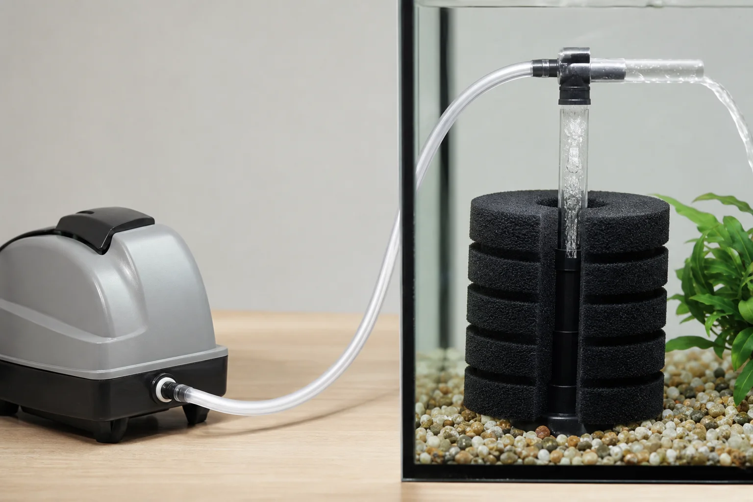 Air pump connected to sponge filter with clear tubing
