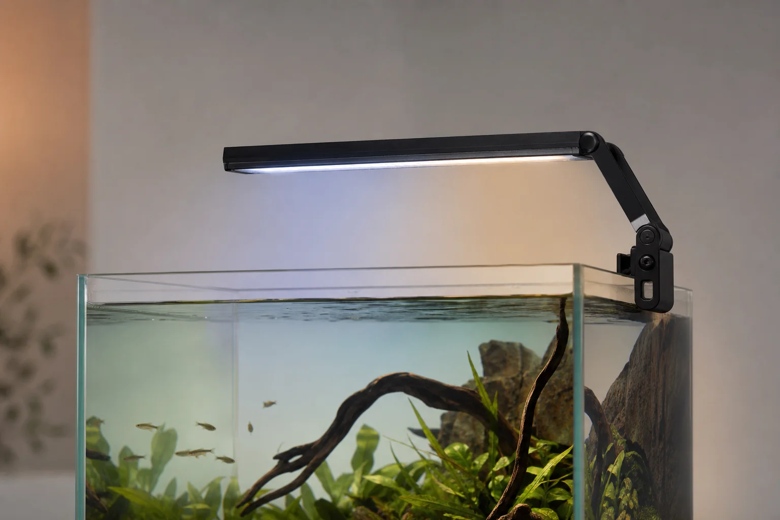 Aquarium light mounted on tank edge showing adjustable bracket and gradient lighting effect