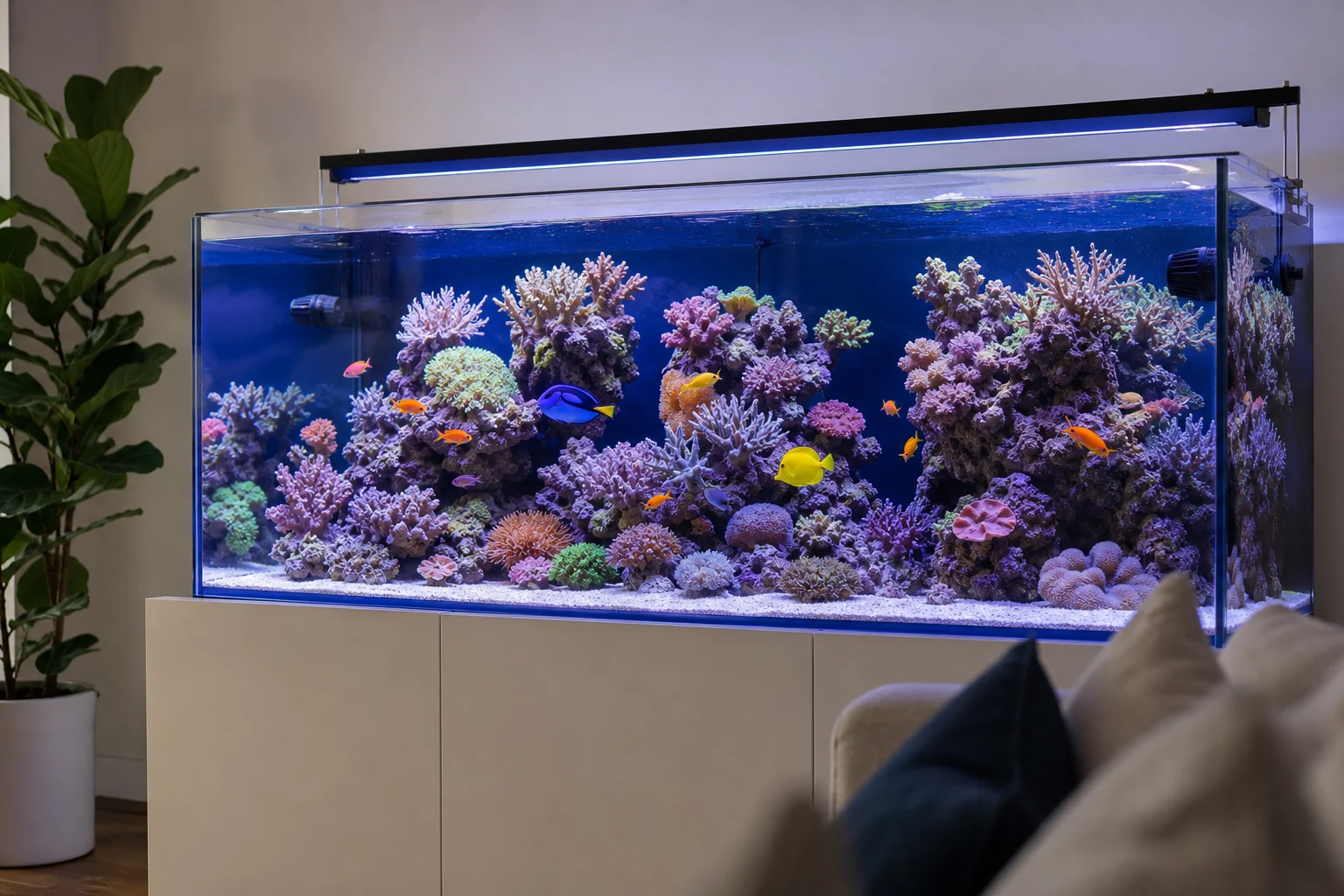 Healthy established reef aquarium with corals and fish