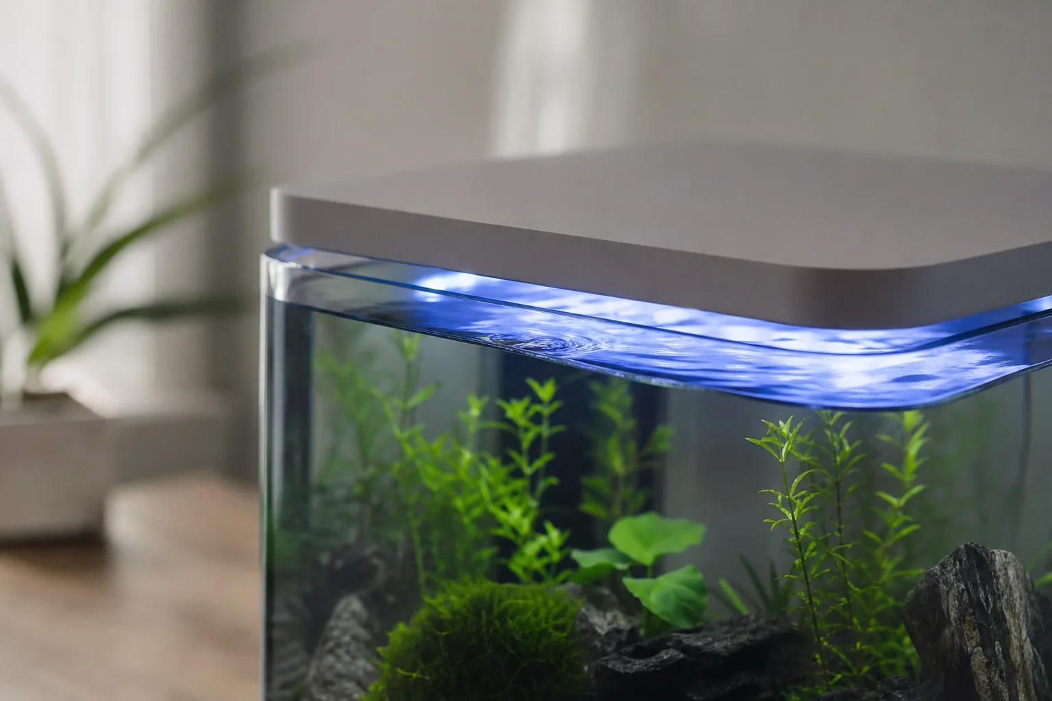 Close-up of a compact aquarium with a low-profile hood and LED lights