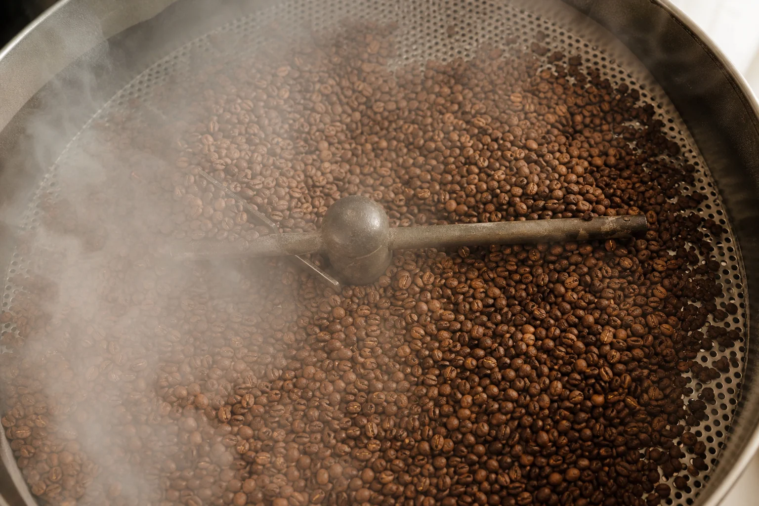 Roasted coffee beans cooling in a mesh tray with steam rising