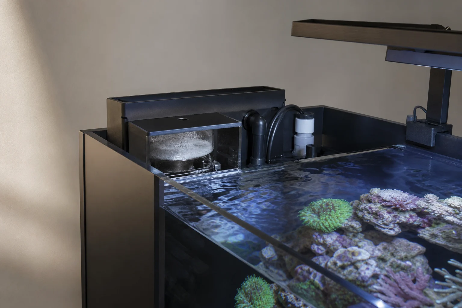 Compact internal protein skimmer integrated into aquarium back compartment