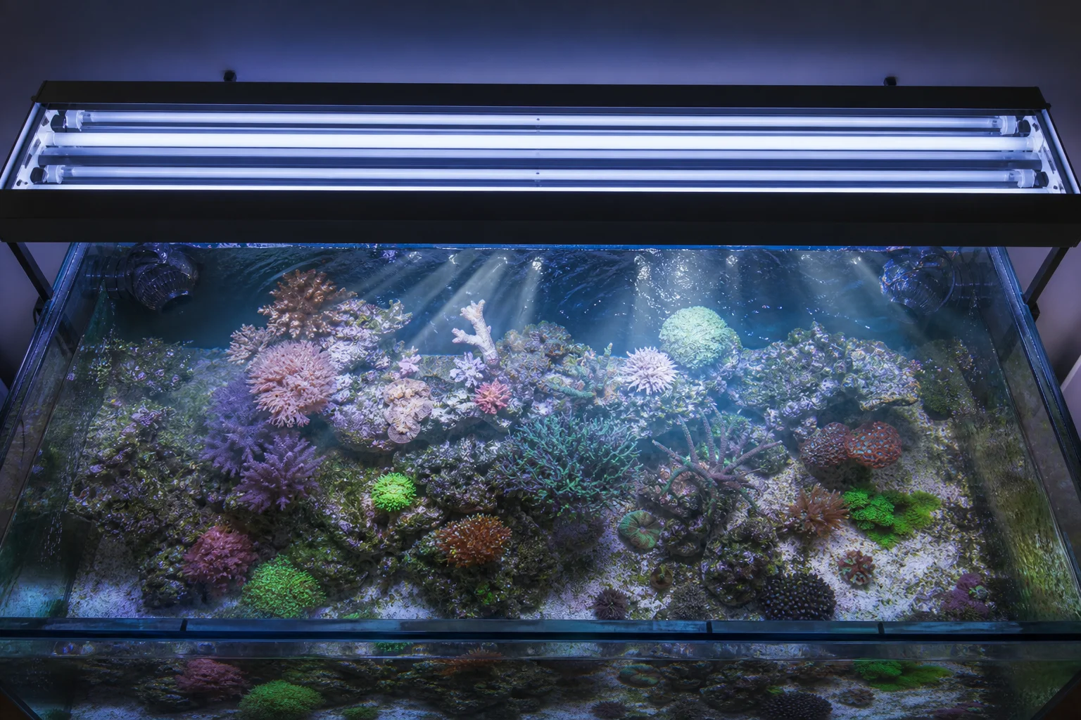 Rampe d'éclairage d'aquarium montée au-dessus d'un bac récifal montrant une répartition uniforme de la lumière