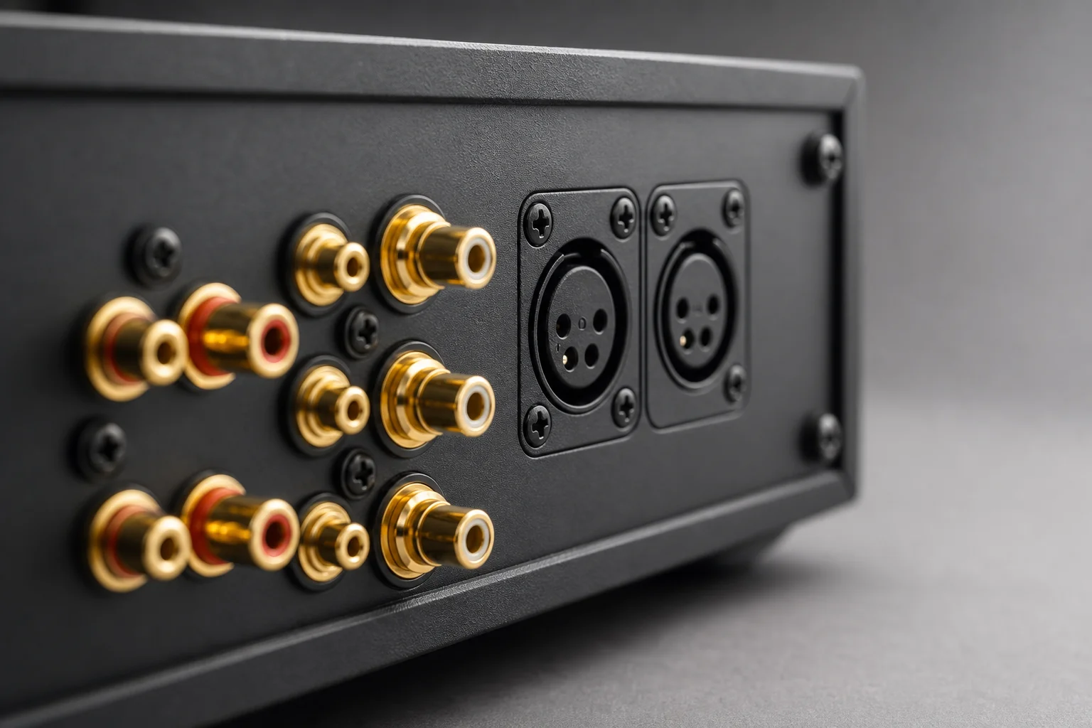 Close-up of stereo RCA connectors and balanced XLR inputs on receiver rear panel