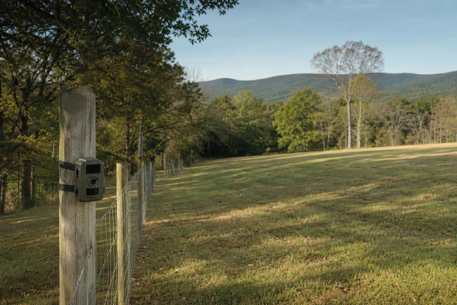 Property surveillance setup with trail camera monitoring residential area
