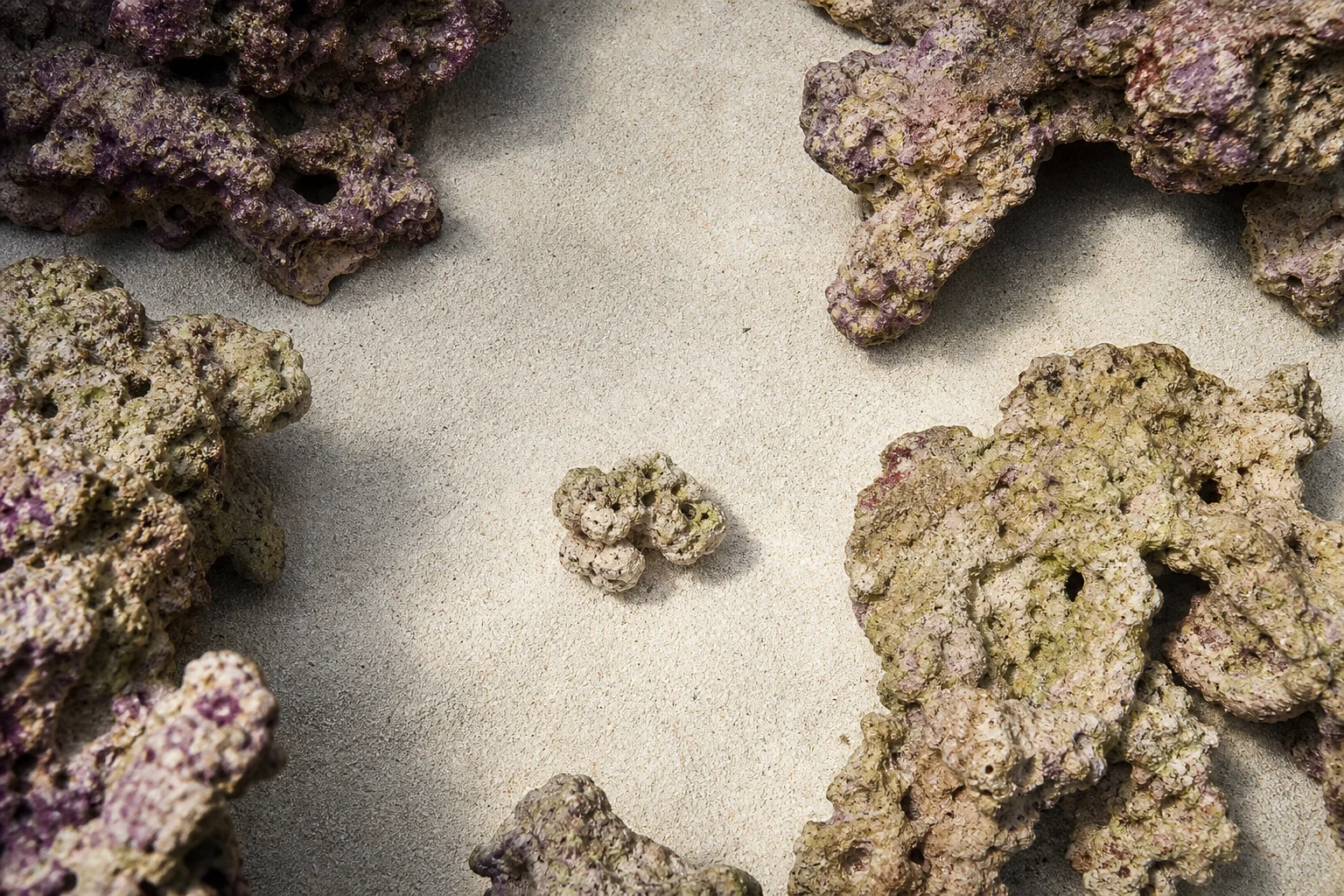 Aquarium sand bed with reef rock formations creating aquascape
