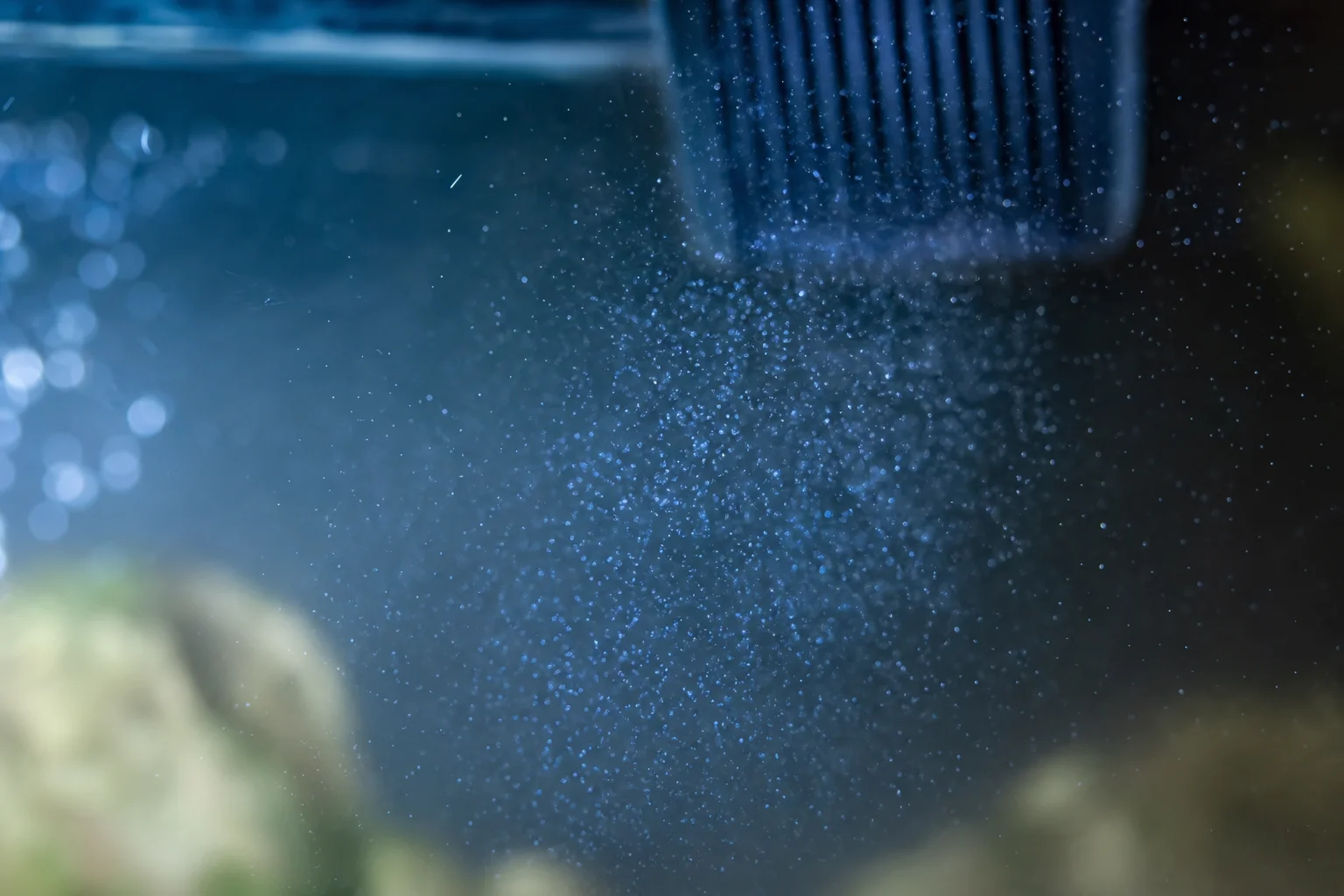 Close-up of aquarium water with suspended particles and light diffusion