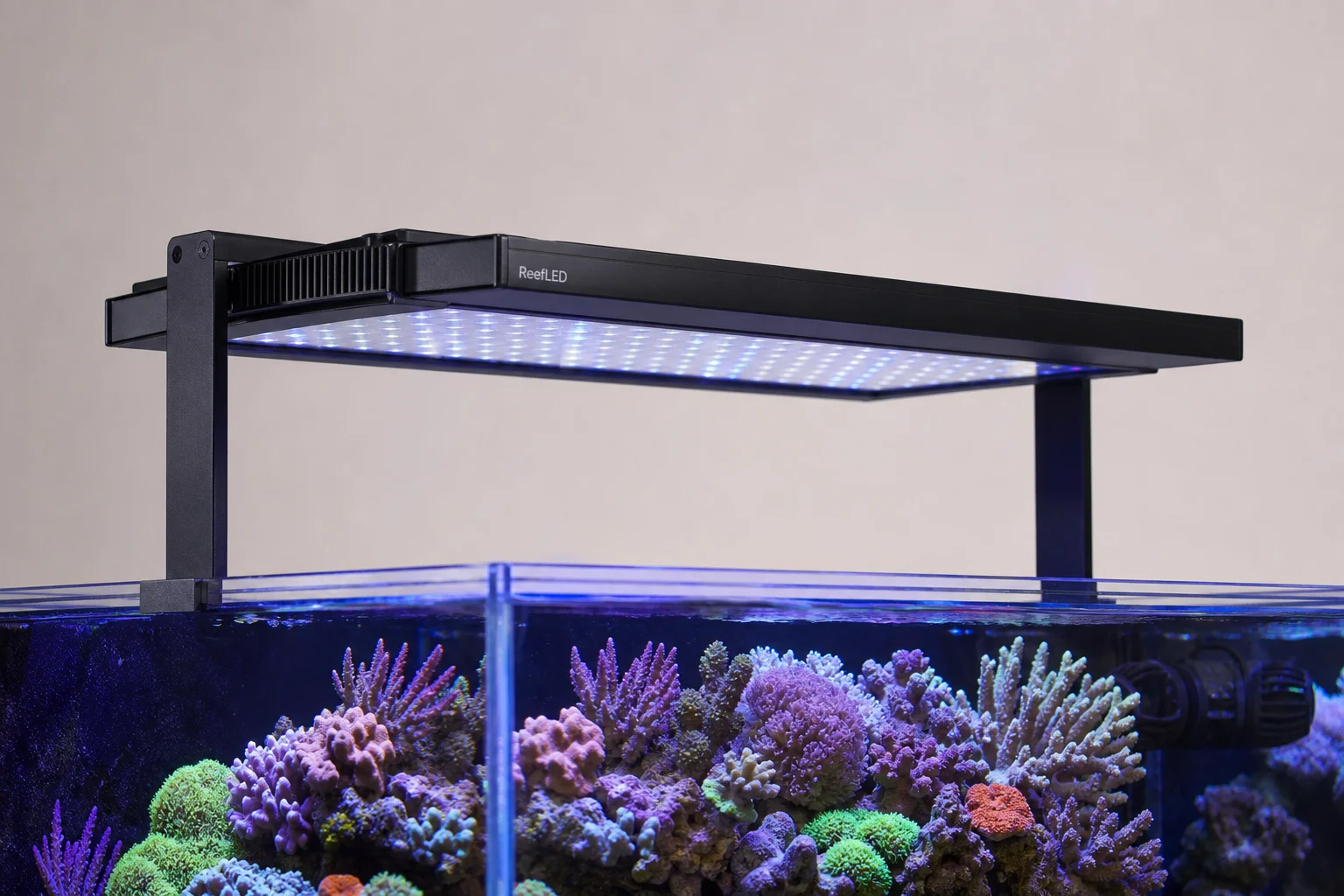 Fluval Reef 4.0 LED-lampa monterad ovanför ett levande revakvarium med koraller