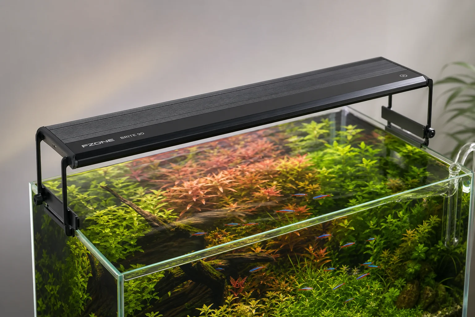 Fzone Brite 90 akvariebelysning monterad ovanför ett växtakvarium med RGB-ljus