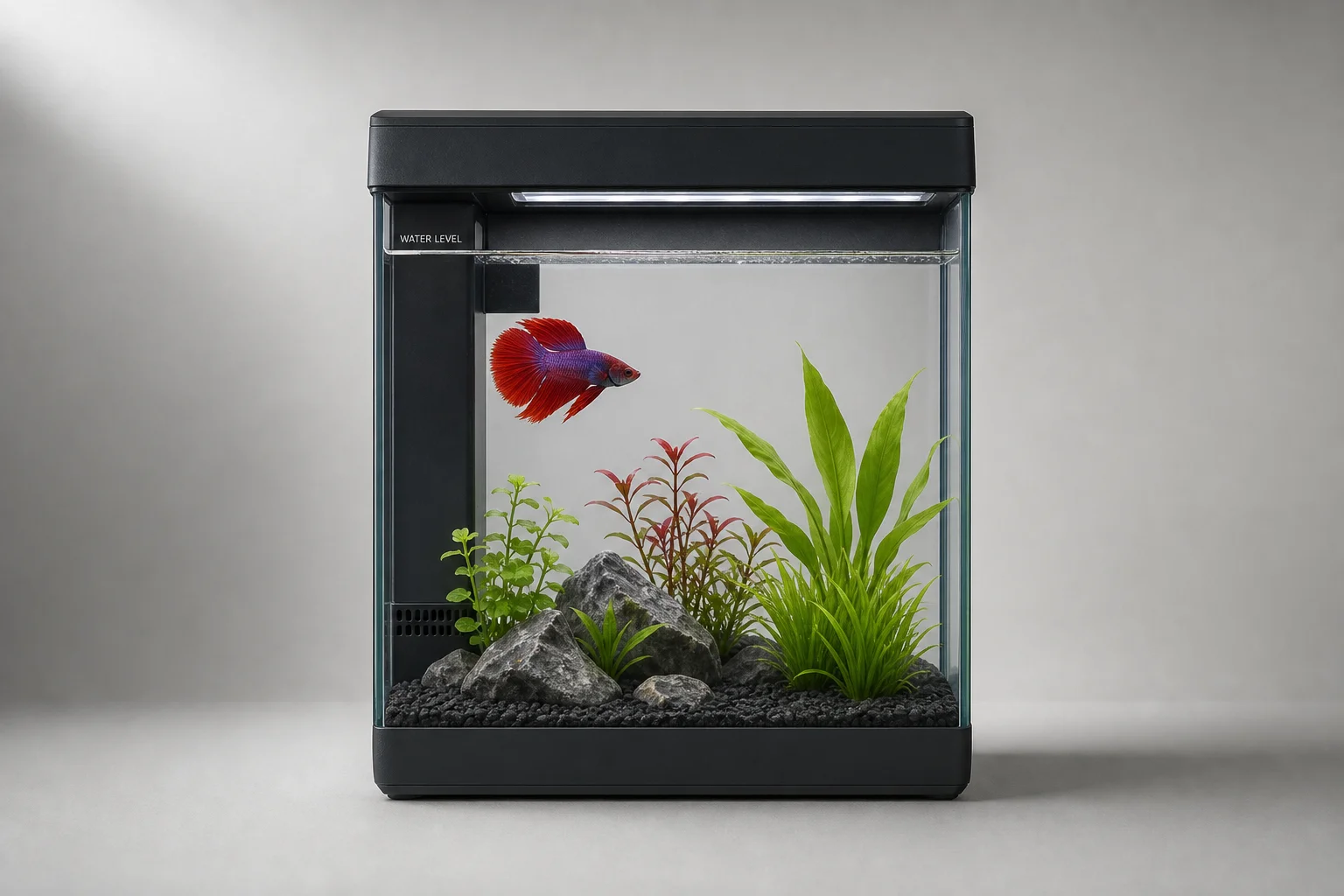 Three aquariums arranged on a wooden surface with clear water and plants
