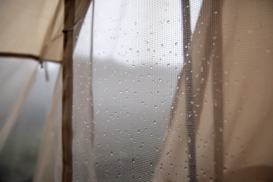 Interior mesh tent wall with fine condensation droplets in low morning light