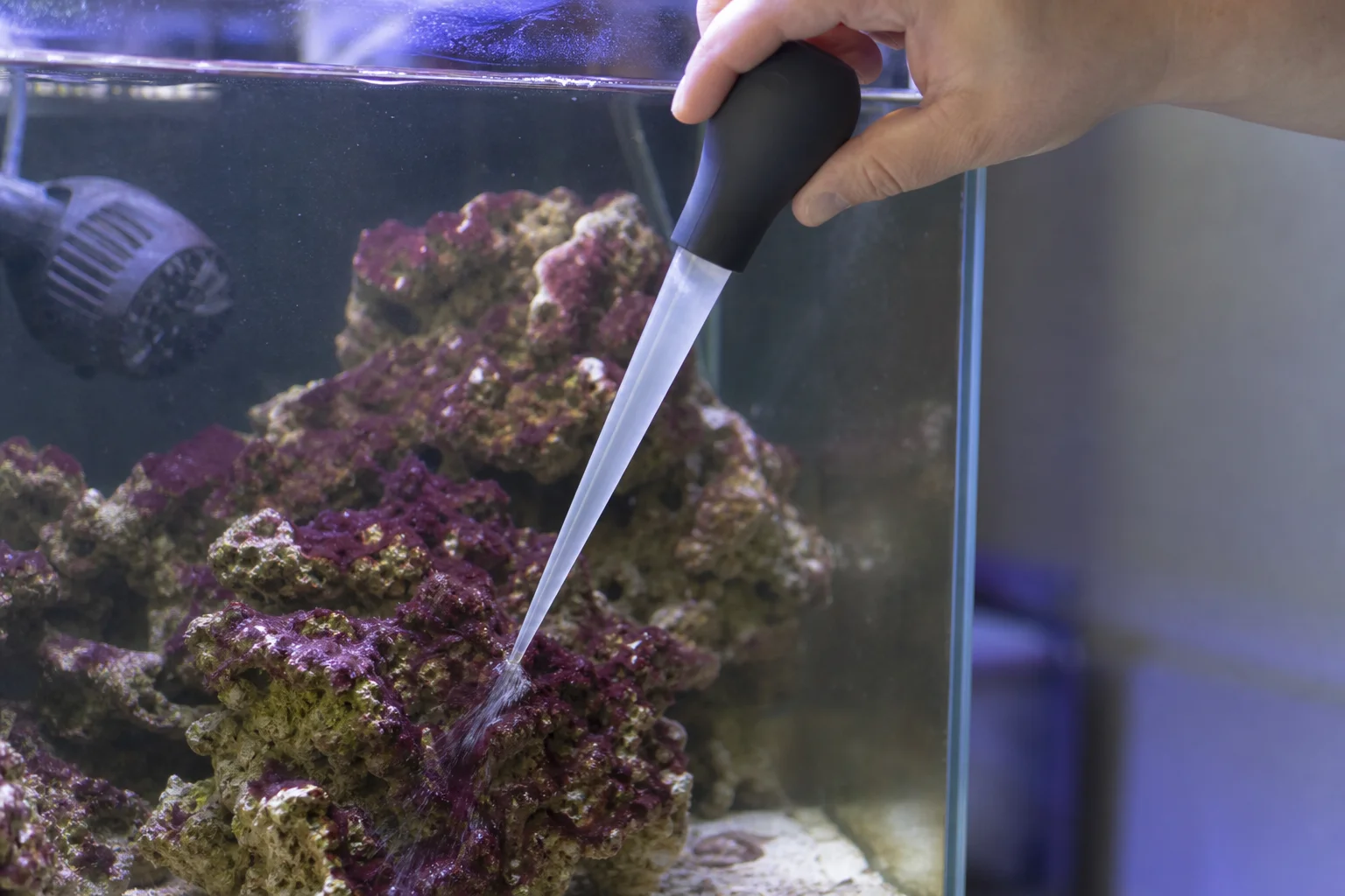 水族愛好者使用滴管手動清除缸內的藍綠菌