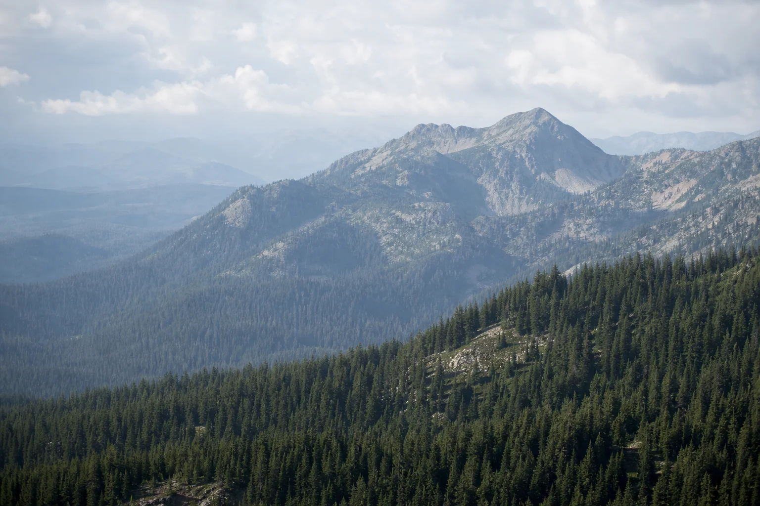 Mountain landscape with forest showing challenging flying terrain
