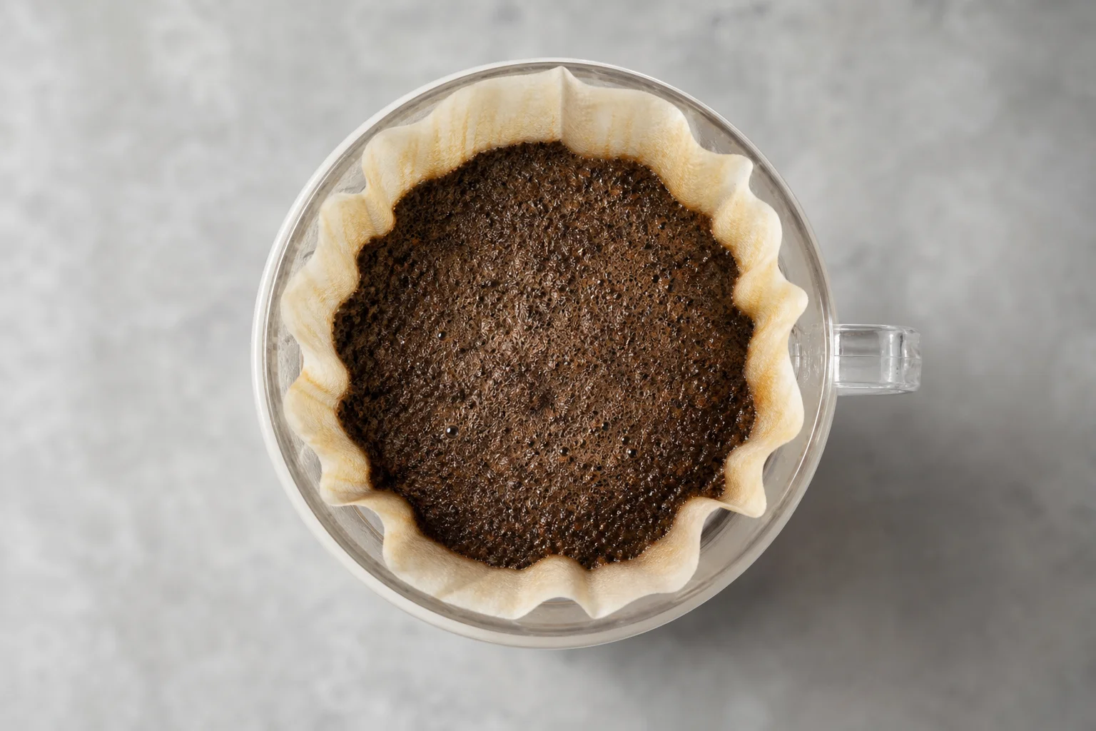 Wet coffee grounds in a V60 filter showing particle distribution