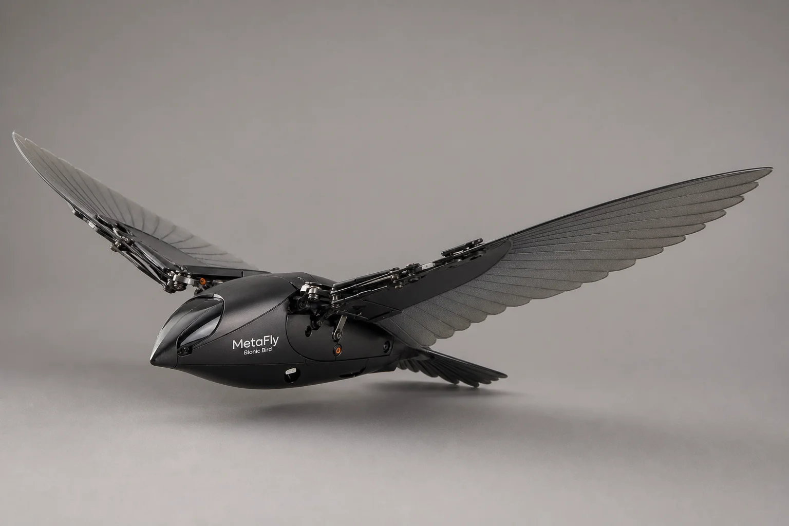 Eine Auswahl an RC-Flugzeugen, vom kleinsten Papierflieger bis zum größten Modell eines Militärtransporters.