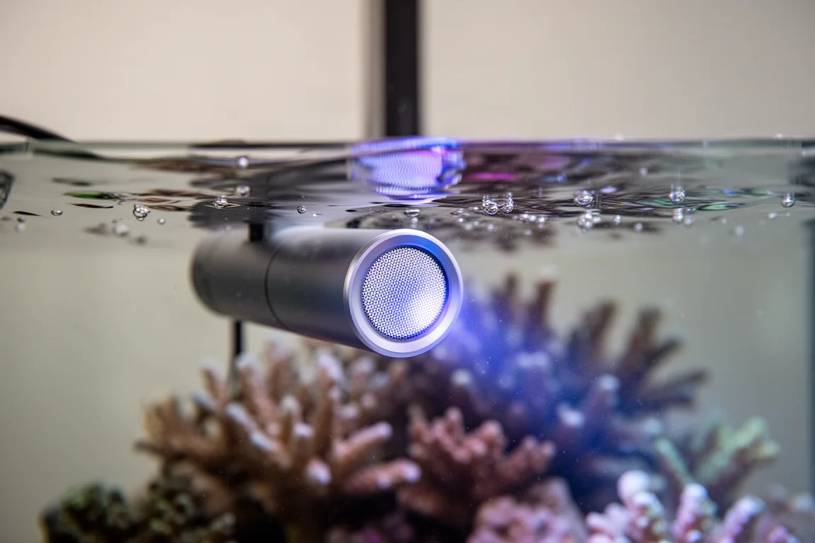 Gros plan d'un disque diffuseur de capteur maintenu juste sous la surface de l'eau d'un bac récifal