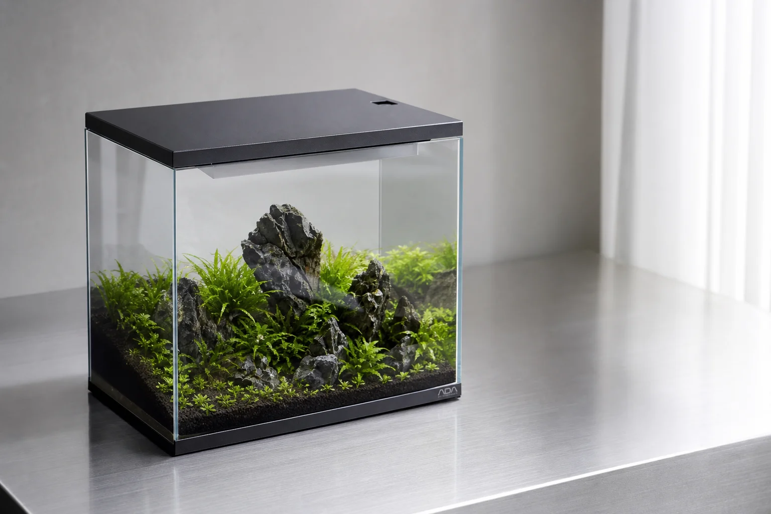 Three aquariums arranged on a wooden surface with clear water and plants