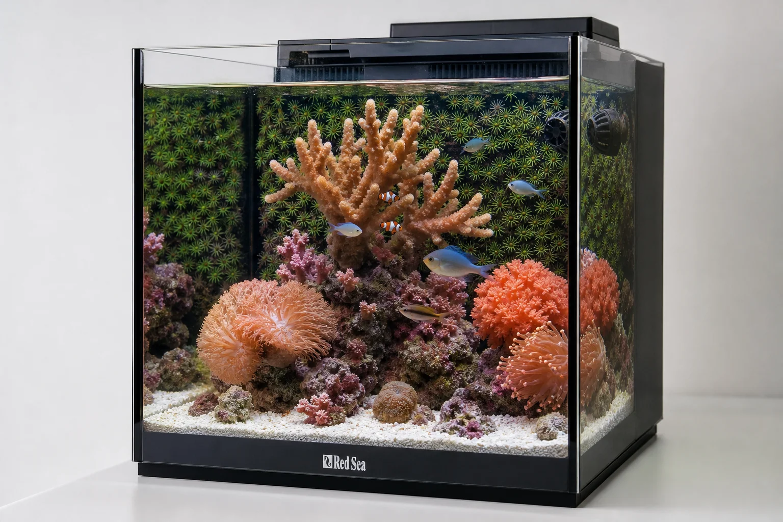 Three nano reef aquarium systems and automation equipment displayed together