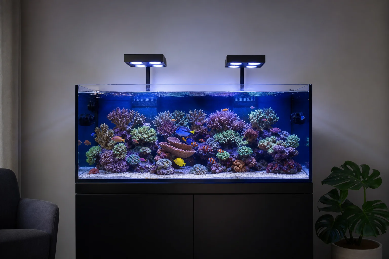 Healthy reef aquarium with corals, fish, and crystal clear water