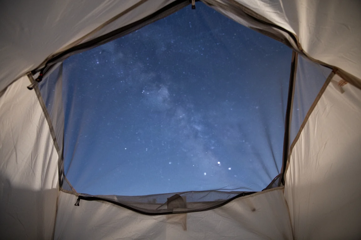 View from inside a small tent looking up through mesh at a starry night sky